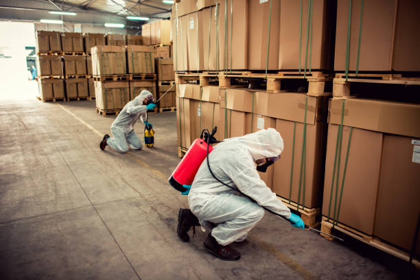 Best Emergency Pest Control  in White Cloud, MI