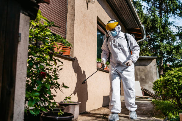 Best Rat Extermination Near Me  in White Cloud, MI