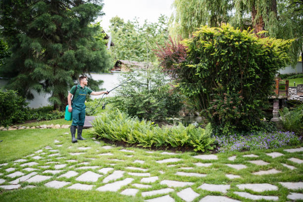 Pest Prevention Services in White Cloud, MI