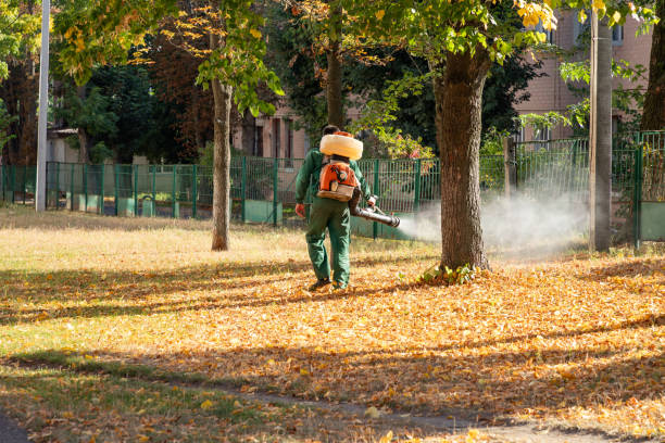 Best Best Pest Control Companies  in White Cloud, MI
