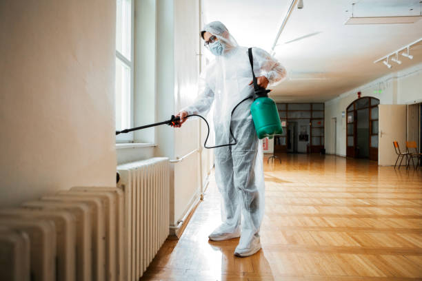 Trusted White Cloud, MI Pest Control Experts