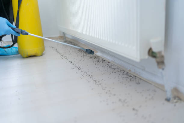 Best Exterminator Services  in White Cloud, MI